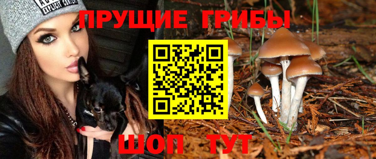Южно-Сахалинск  Псилоцибиновые грибы Psilocybe  магазин  наркотиков  Вход с VPN 